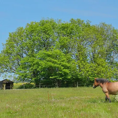 Ferienresidenz Kap Arkona Ferienwohnung 06 Apartment *