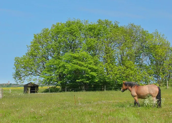 Ferienresidenz Kap Arkona 06 アパート *